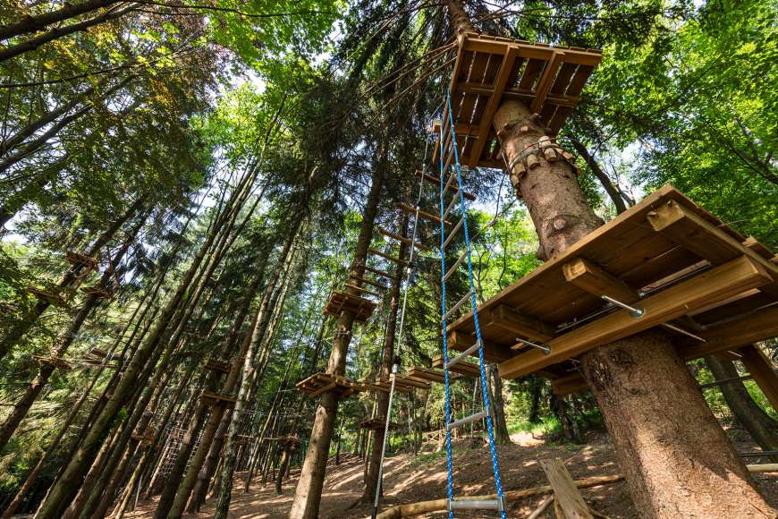 TerreBorromeo_ParcoDelMottarone_SitoWeb_Front-end_Immagini_GalleryAdventurePark